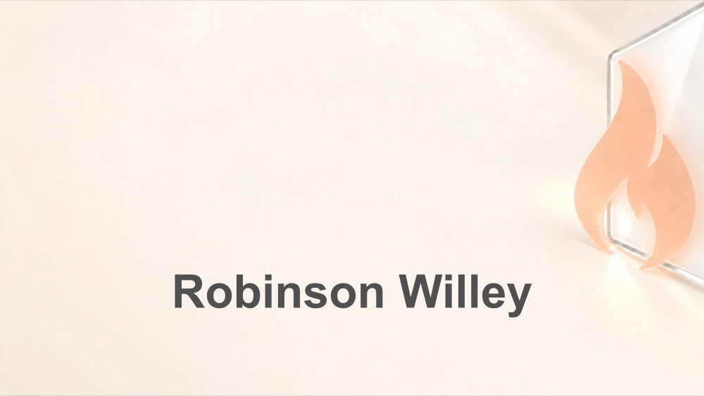 Robinson Willey Stove Glass