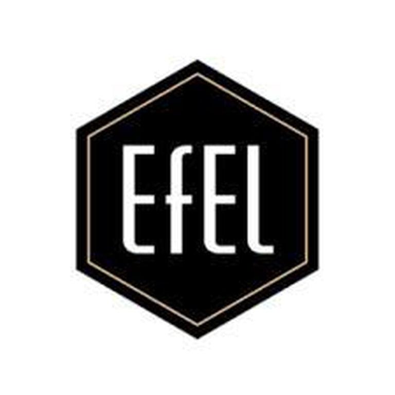 Efel Stanford 80 Stove Glass